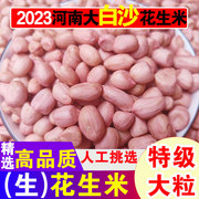 2023新货 花生米生 南阳大白沙原味晒干农家种植新鲜特级大粒五斤