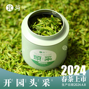 日照绿茶2024新茶开园头，采特级罐装，毛尖豌豆鲜香一芽一叶初展北芽