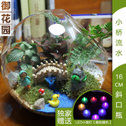 苔藓微景观生态瓶小盆栽创意迷x你植物办公室桌面盆景龙猫摆件diy