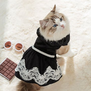 宠物猫咪公主风天鹅绒连衣裙秋冬季衣服银渐层布偶英短幼猫防掉毛