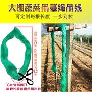 大棚吊秧绳蔬菜辣椒豆角，黄瓜番茄西红柿，吊蔓绳吊绳塑料绳子农用