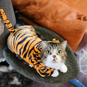 猫咪衣服秋冬季可爱老虎变身装保暖防掉毛布偶蓝猫宠物加厚四脚衣