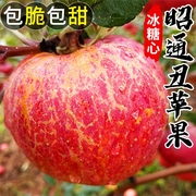 正宗云南昭通市丑苹果冰糖心苹果新鲜水果当季整箱红富士萍果10