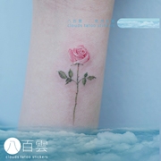 八百雲手绘 韩风INS 粉色玫瑰花朵手腕迷你可爱清新少女纹身贴纸