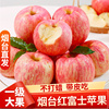 烟台苹果正宗山东栖霞红富士，现摘现发当季新鲜水果，整箱冰糖心