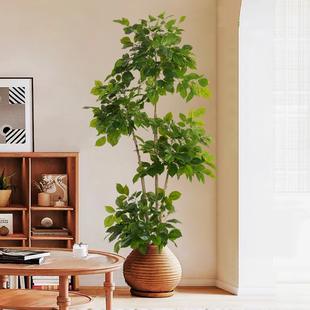 仿真植物幸福树发财树客厅，大型落地假绿植室内家居装饰摆件假花