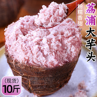 广西荔浦新鲜芋头正宗小芋头大槟榔芋紫色香芋艿蔬菜