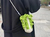 创意手工毛线编织个性大白菜包包，diy材料包自制成品装手机零钱包
