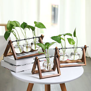 创意木架绿萝水培花瓶，植物办公桌面装饰物，玻璃花器客厅摆件