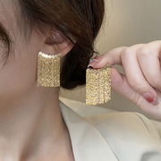 欧美925银针高级感金属流苏，长款耳环女个性独特设计网红耳钉耳饰
