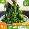 盐渍裙带菜半干货5斤海带嫩苗丝儿童海菜海白菜非特级脂肪0