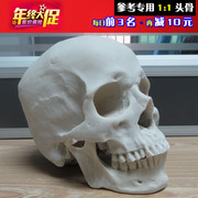 1 1树脂骷髅头绘画p 人头骨艺用人体肌肉骨骼解剖头骨模型美术现