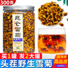 野生昆仑雪菊新疆特产昆仑山花茶胎菊新花天山血西藏王冰山茶