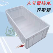 超大号养殖箱塑料乌龟缸龟箱长方形，周转箱水族箱养龟养鱼鱼缸箱子