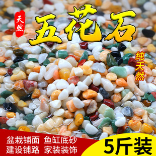 天然彩石鱼缸专用铺底，砂多肉盆栽铺面石子五彩石头，雨花石造景摆件