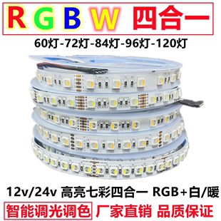 RGBW四合一灯带led高亮12v智能调光变色七彩白暖24vRGBWW防水贴片