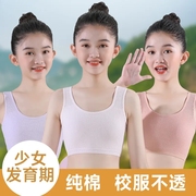 发育期内衣文胸小背心女学生韩版纯棉抹胸运动少女初中大童8-16岁