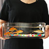 创意长方形玻璃鱼缸加厚小型桌面迷你缸斗鱼孔雀鱼缸家用客厅水培