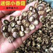 特小香菇干货迷你小香姑丁散装小蘑菇，农家干香菇商用香茹袖珍冬菇