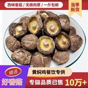 新货西峡香菇干货500克厚肉无根小香菇散装蘑菇干冬菇