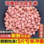 2023年生花生米大粒白沙花生仁，商用5斤农家新鲜去壳榨油花生新货