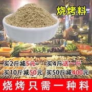 秘制烧烤调料油炸羊肉串烤肉，蘸料小吃撒料500g烧烤粉烧烤料烤肉料