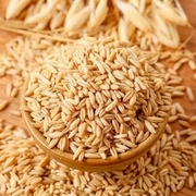 裸燕麦米新米燕麦胚芽米粗粮农科院燕麦米饭杂粮米五谷杂粮500克