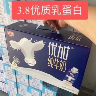 1月份产光明优加纯牛奶3.8乳，蛋白梦幻盖250ml*10瓶整箱