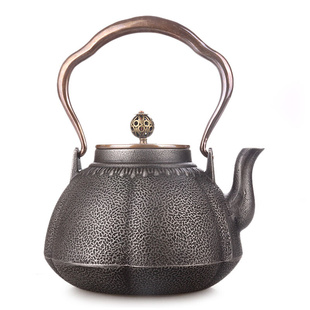 铸铁壶日式手工铁茶壶南部铁器老铁壶无涂层原铁复古烧水茶壶摆件