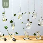悬挂式玻璃迷你透明小水养水培花盆子瓶绿萝吊兰植物小号花瓶