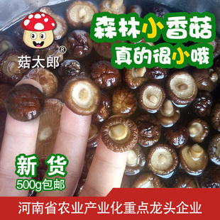 菇太郎小香菇干货特小香菇500g新货金钱，菇迷你冬菇珍珠菇香菇