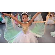 小风筝儿童演出服翅膀道具小天鹅舞蹈服女童芭蕾舞蓬蓬裙表演服装