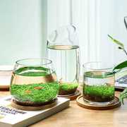 水培微景观，绿植套装桌面透明创意造景鱼缸