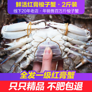 2斤装舟山大红膏蟹鲜活梭子蟹，海蟹特大海，螃蟹大螃蟹全母海鲜水产