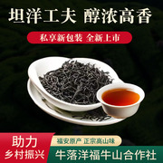 福安特产坦洋工夫红茶红茶2024年新茶