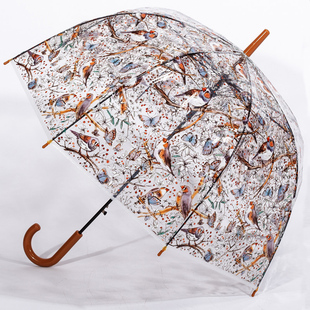 个性创意可爱透明伞，阿波罗伞花鸟蝴蝶长柄伞，雨伞蘑菇道具女公主伞