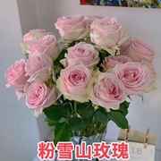 玫瑰花鲜花云南昆明基地直发红玫瑰花束求婚向日葵鲜花速递同城