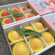 水蜜桃礼盒装当季新鲜时令水果桃子过节送礼佳品川渝