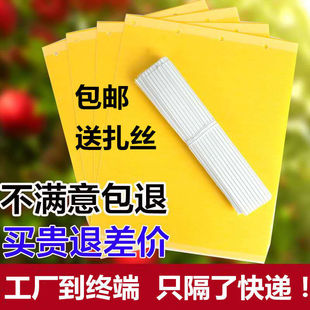 黄板双面粘虫板诱虫蓝板纸贴黄色飞虫小黑飞沾果蝇诱捕器粘板大棚