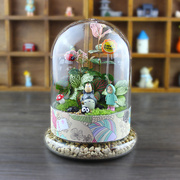 趣味苔藓微景观生态瓶办公桌面创意植物组合盆栽DIY伴手礼物
