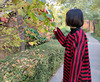 清货处理——蜕布立体提花黑红，羊毛绒袍子连衣裙女原创设计秋冬款