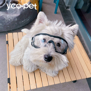 狗狗护目镜风镜透明款眼镜防水防风防雪紫外线墨镜宠物狗眼睛