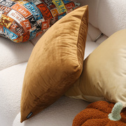 极速天鹅绒咖啡色抱枕纯色靠垫房间客厅沙发靠背床头靠垫绒布简约