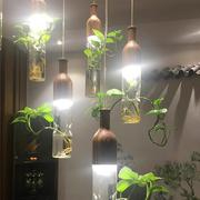 创意餐厅吊灯植物单头个性，现代简约吧台，过道餐厅灯北欧玻璃餐吊灯