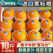 2024美橙黑标3107脐橙子，20颗新鲜当季水果大果新奇士(新奇士)甜橙