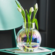 北欧简约圆形花瓶摆件玻璃透明水培器皿容器轻奢插花餐桌装饰摆件