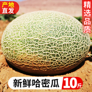 新鲜哈密瓜10斤当季新鲜水果现摘网纹孕妇即食新疆西州蜜瓜