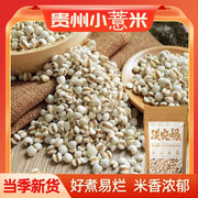 贵州薏米仁当季新货农家，小薏米五谷杂粮，除祛湿茶芡实莲子组合煮粥