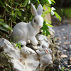 户外花园假山装饰仿真动物挂件庭院花架盆景装饰品可爱兔子小摆件