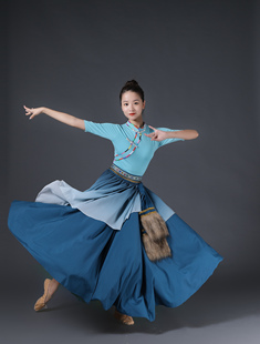 藏族广场舞半身裙藏式蹈演出服装女练功大摆裙广场舞练习裙子